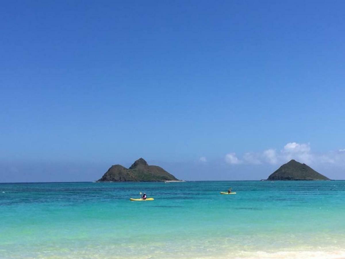Lovely Relaxing Lanikai Studio, Legal Vacation Rental Kailua Exteriér fotografie